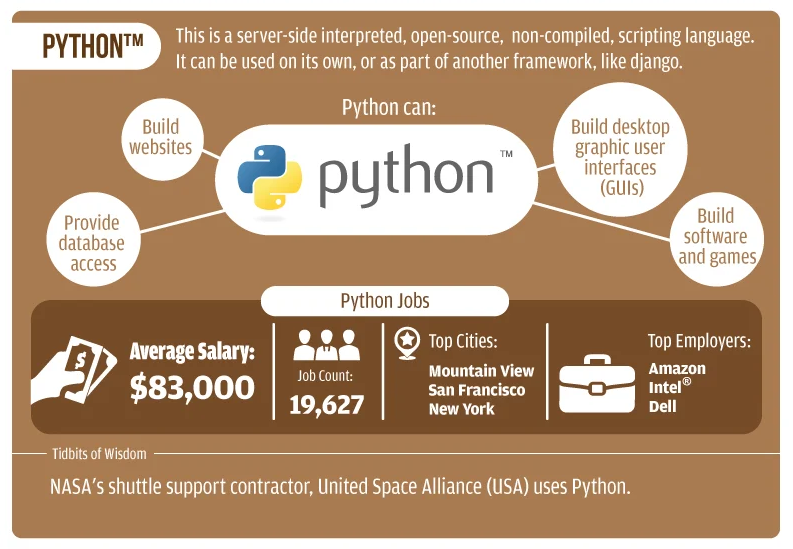 what programming language should a beginner learn in 2019