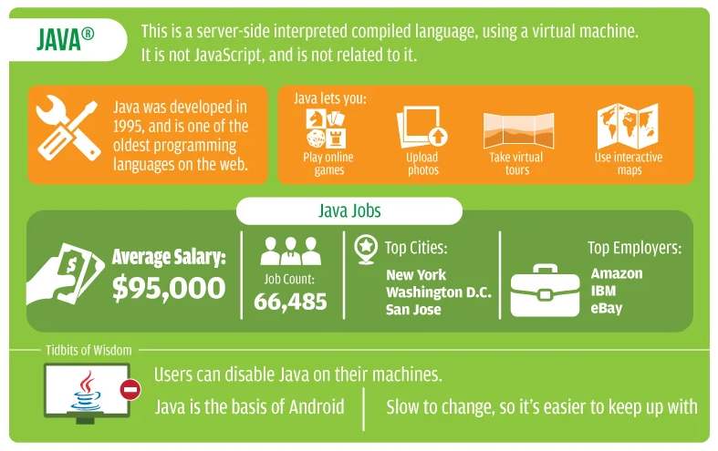 which programming language should you learn first