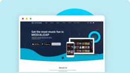 media leap portfolio