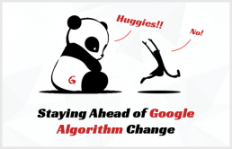 google algorithm update explained