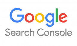 Google-Search-Console-SEO Glossary