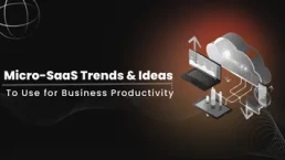 Micro-SaaS Trends Ideas