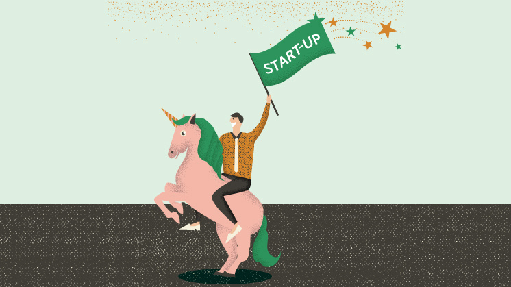 How to Become a Unicorn - Startup Development Stages