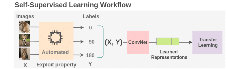 Self-Supervised Learning Workflow